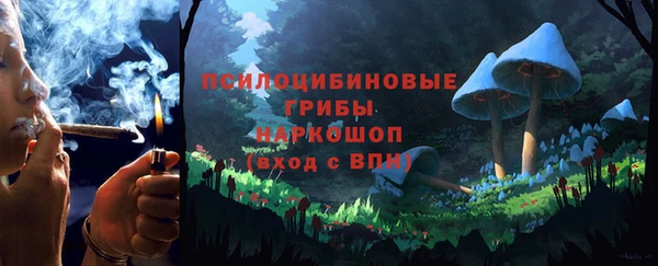 стаф Абаза